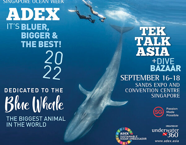 ADEX Is Returning to Singapore in September 2022