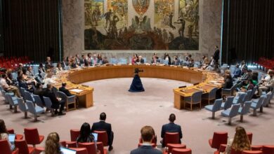 Syria: Security Council extends cross-border aid for six months |