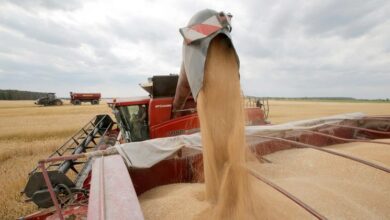 Guterres hails 'important step' on resumption of Ukrainian grain exports |