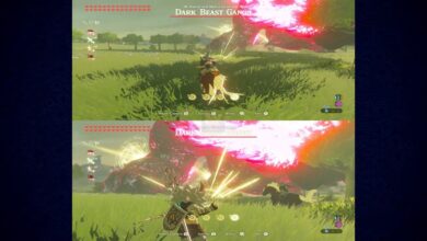 Brand New Zelda: Breath Of The Wild Mod Successfully Adds Multiplayer Screen