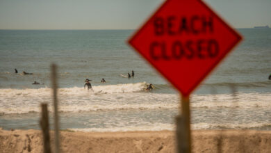 NYC closes Rockaway Beach after shark sightings