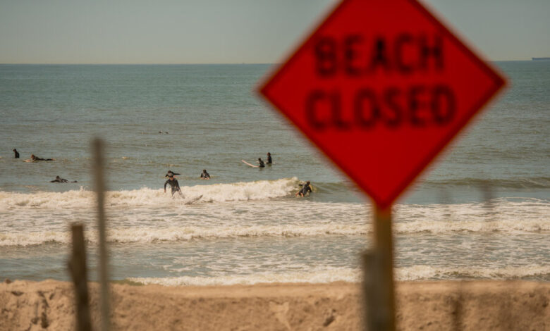 NYC closes Rockaway Beach after shark sightings
