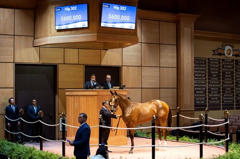 Fasig-Tipton offers strong July price cuts to the end