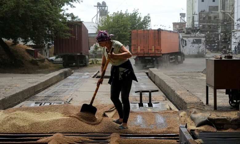 U.S. and Ukrainian officials have said they will wait to see if Russia sticks to its aspect of the grain plan.