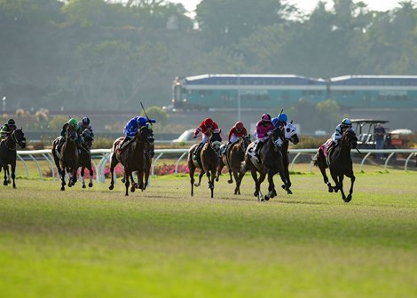 Del Mar opens in 2022 Meet with record