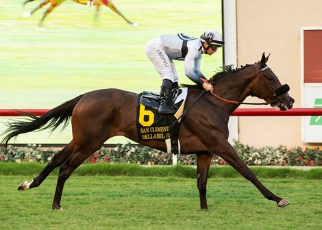 Bellabel leads the D'Amato Trifecta in San Clemente