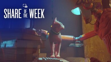 Share of the week: Stray - PlayStation.Blog
