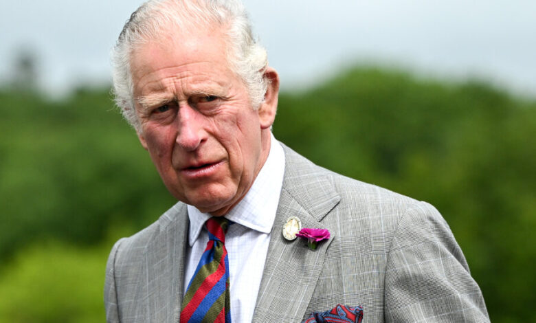 Prince Charles' charity has received millions from Osama bin Laden's family