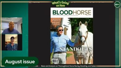 BloodHorse Magazine August issue preview