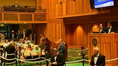 FT Saratoga Sale Catalog Now Available