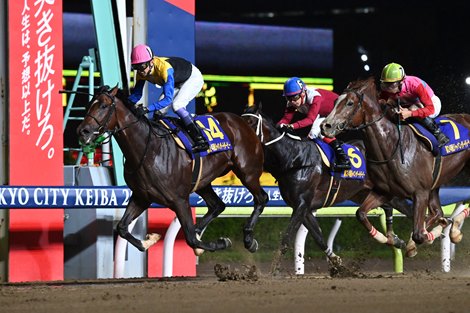 Notturno Wins Japan Dirt Derby, gets points in the 1st place race