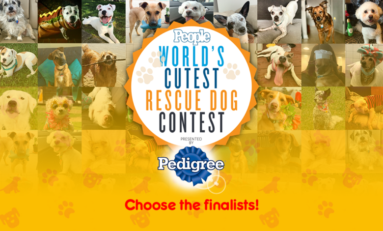 Your dog wants to win the 2022 PEOPLE's "World's Cutest Rescue Dog" contest