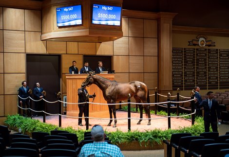 Fasig-Tipton July Horses of all ages Sales soar