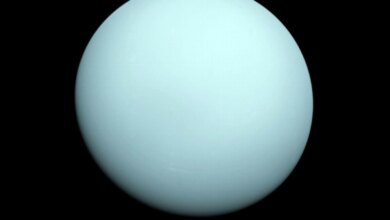 Hành tinh Uranus quay ngược hướng với Trái đất;  biết bi kịch vũ trụ nào đã gây ra nó
