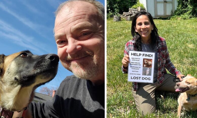 Baltimore Has Their Own Animal Rescue Superhero, 'Lost Dog Guy'