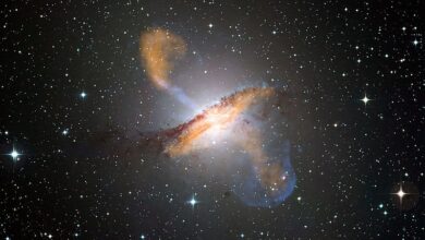 Colour composite image of Centaurus A, revealing the lobes and jets emanating from the active galaxy’s central black hole. Image credit: ESO/WFI (Optical); MPIfR/ESO/APEX/A.Weiss et al. (Submillimetre); NASA/CXC/CfA/R.Kraft et al. (X-ray) via Wikimedia, CC-BY-4.0