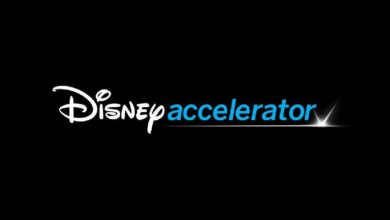 Polygon Picked by Walt Disney to Participate in Its Accelerator Program: Here