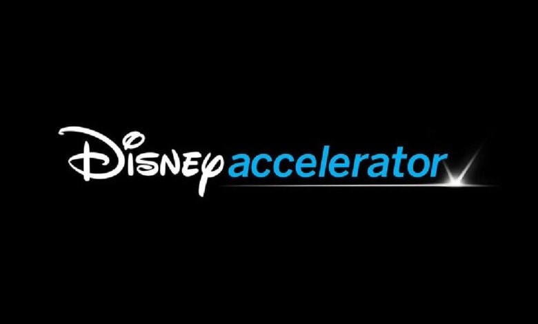 Polygon Picked by Walt Disney to Participate in Its Accelerator Program: Here