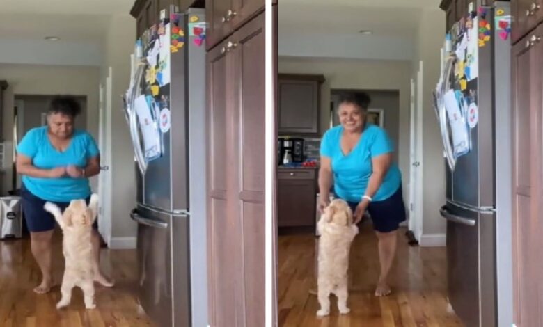Grandma Teaches Dogs To Dance And It's Totally Adorable