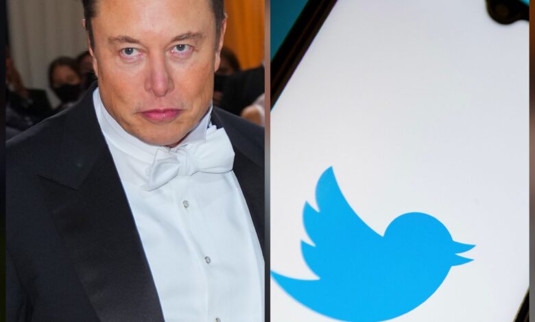 Judge rules that Twitter's lawsuit against Elon Musk can go ahead with a 5-day trial starting in October