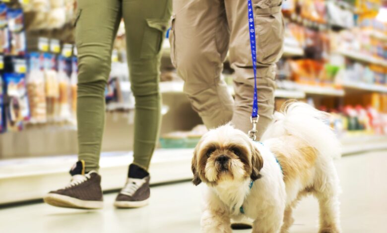 How to find a dog-friendly store - Dogster