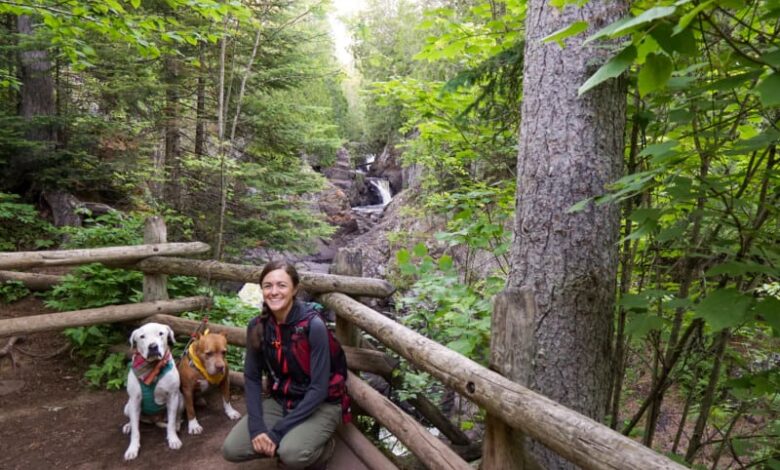 A white dog, a brown dog, and a women post in front of a cascading waterfall in the midst of a pine forest at Cascade River State Park on the North Shore in Minnesota