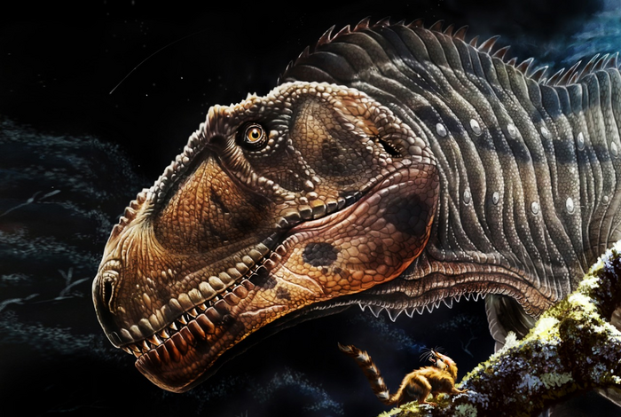 An international team that includes a University of Minnesota Twin Cities researcher has discovered a new big, meat-eating dinosaur, dubbed Meraxes gigas (illustrated above), that provides clues about the evolution and anatomy of predatory dinosaurs such as the Carcharodontosaurus and Tyrannosaurus rex. Image credit: Jorge Gonzalez