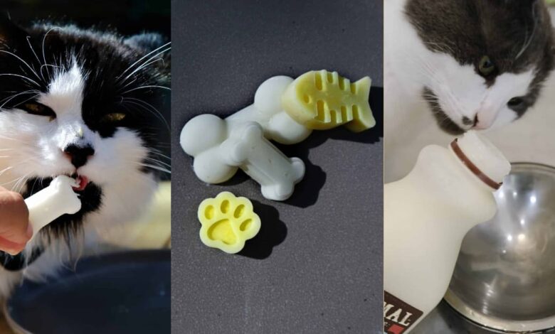 Cool Kitty down with these homemade goat milk Fro-Yo treats [Recipe]