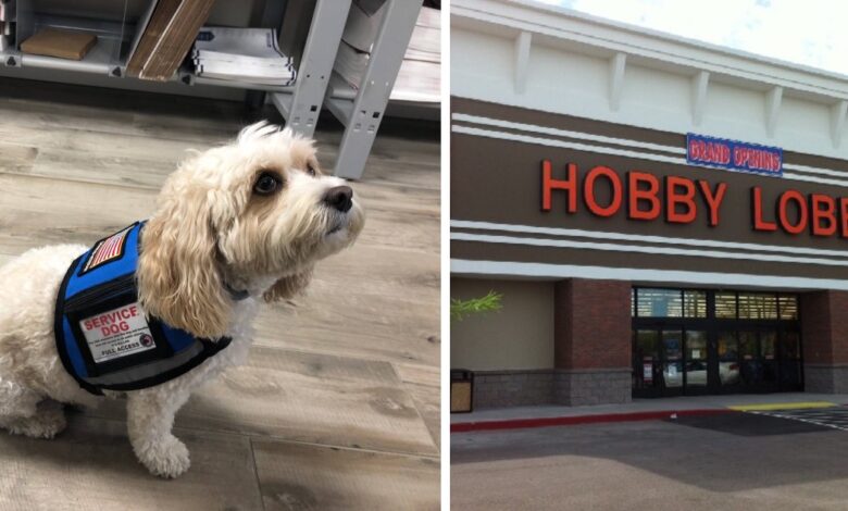 Employee sues hobby lobby for banning her service dog from the store