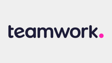 Teamwork: Project management software review