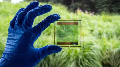 Towards the production of semi-transparent solar cells the size of a window