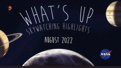 August Sky has a lot in store for us!  NASA says to pay attention to these special events