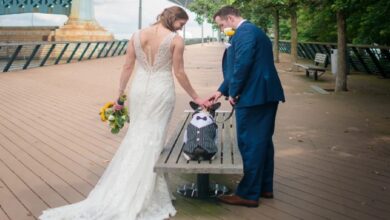 Survey shows that 1 in 3 couples have a dog at their wedding