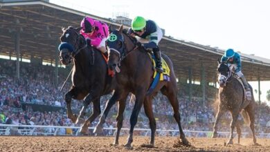 Santa Anita to host the 11th Breeder's Cup in 2023