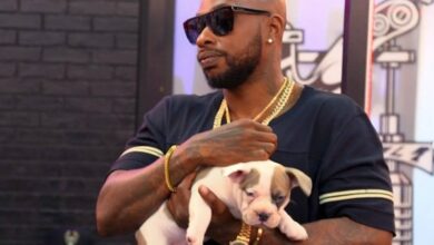 Black Ink Crew's Ceaser Emanuel charged with animal cruelty after hitting dog with a chair