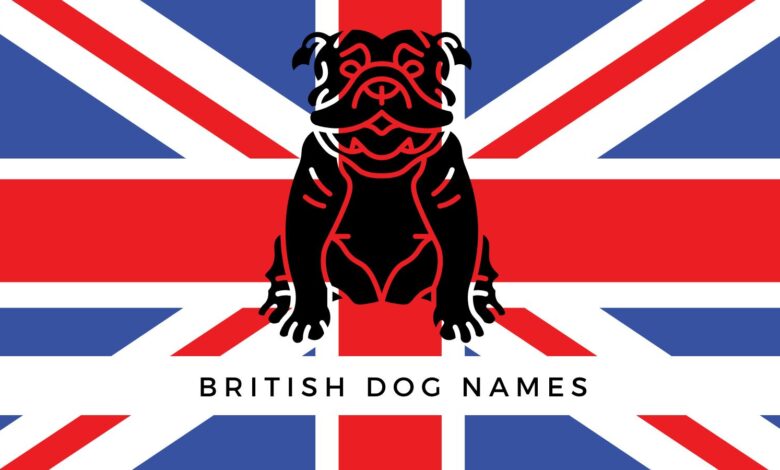 400+ British Dog Names
