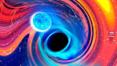 Black Hole Police Discover First Inactive Stellar-Mass Black Hole Outside the Milky Way