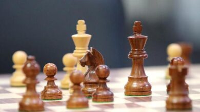 Chess Olympiad 2022: Indian chess team player profiles, form, Elo ratings and records