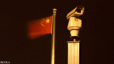 Why does China subsidize cheap surveillance cameras?
