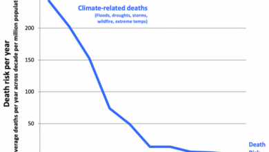 Boston Globe Admits Global Warming Has Saved Lives - Rising Because of That?
