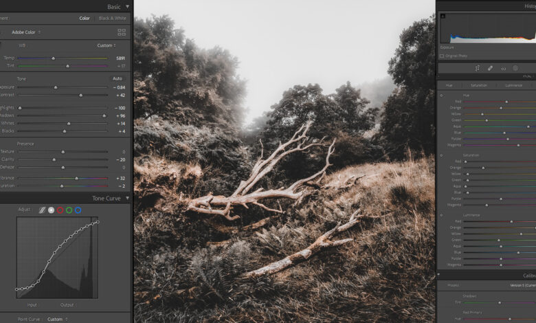 The Problem With Lightroom Presets