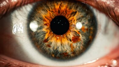 Eyes Offer Biomarkers for ADHD and ASD Disorders, Study Reveals