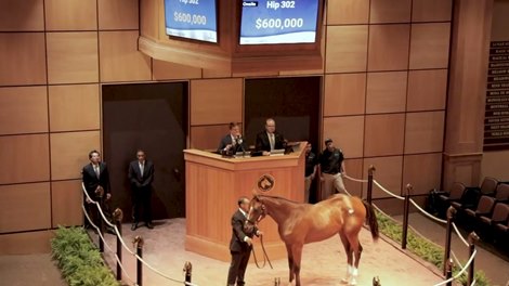 Strong End at Fasig-Tipton's July Sale
