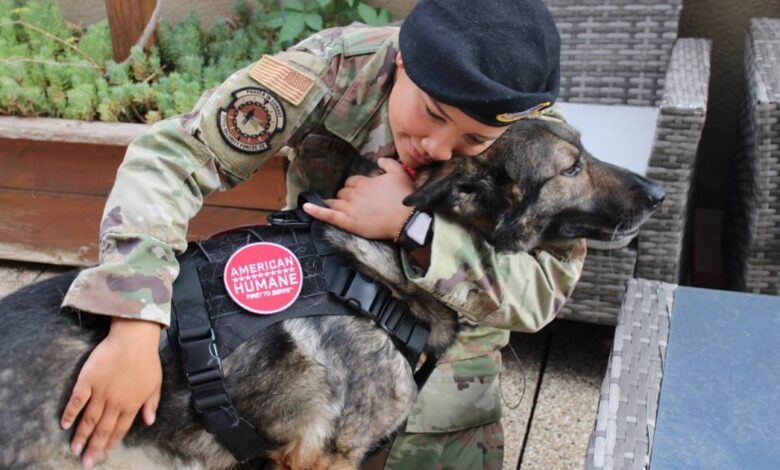 Army dog ​​runs around the world to retire with handler who saved it