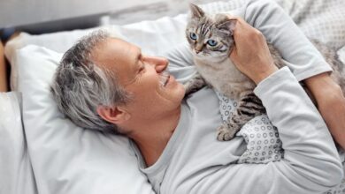 Is Toxoplasma gondii, the "Cat Parasite," controlling your brain?