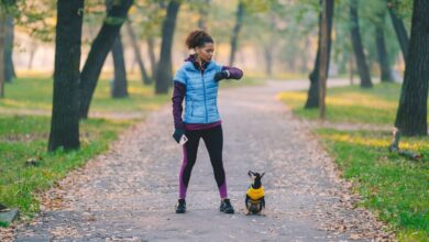 6 best dog activity trackers and Fitbits for your pup's health