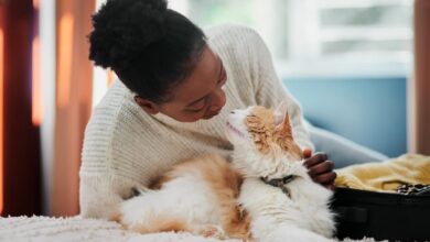 Petting, cuddling, cuddling your pet?  Yes, you need consent