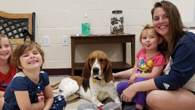 Once unwanted, Pup becomes a hero when he saves little girls from kidnappers