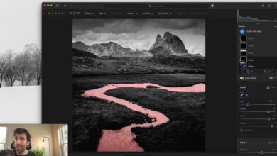 Still not sure how to use Lightroom's new masking tools?  This will help you