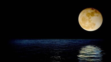 Click Pictures of Supermoon 2022 like a Pro with just your smartphone using these awesome tips